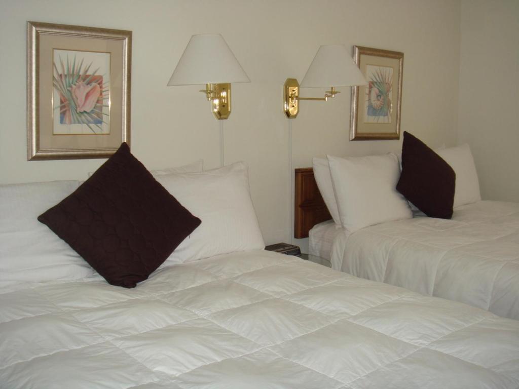 迈尔斯堡海滩 海滩贝壳旅馆酒店 客房 照片